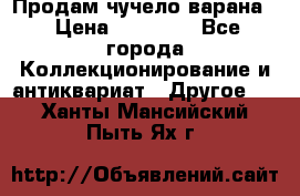 Продам чучело варана. › Цена ­ 15 000 - Все города Коллекционирование и антиквариат » Другое   . Ханты-Мансийский,Пыть-Ях г.